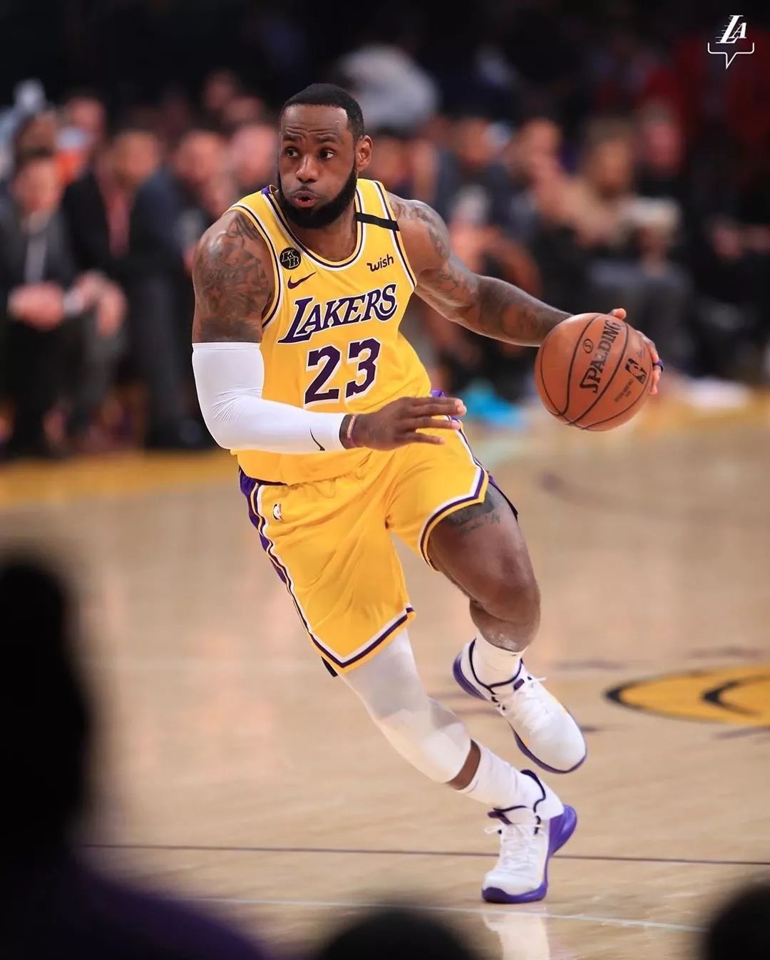 的得失上 的得失上